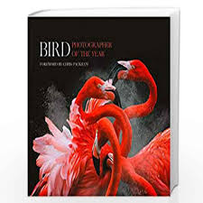 Bird Photographer Of The Year: Collection 3