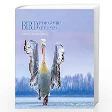 Bird Photographer Of The Year: Collection 4