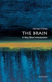 THE BRAIN VSI