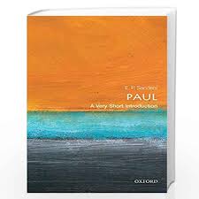 PAUL VSI