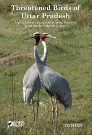 THREATENED BIRDS UTTAR PRADESH