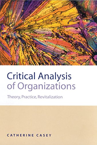 Critical Analysis of Organizations  Theory, Practice, Revitalization