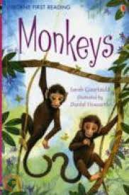 Monkeys