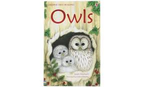 Owls - Level  Usborne First Reading