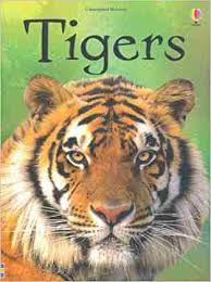 Tigers