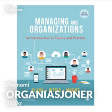 Managing and Organizations