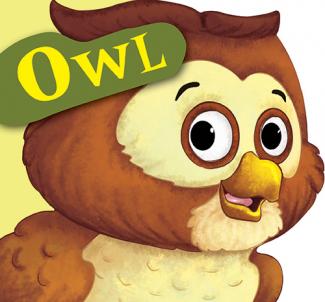CUT OUT BOARD BOOK: BIRDS OWL