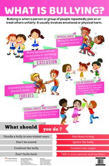 Charts What Is Bullying?
