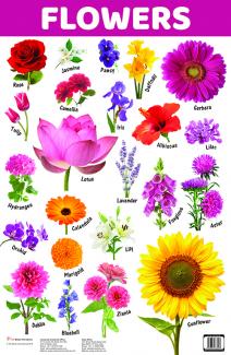 CHART FLOWERS